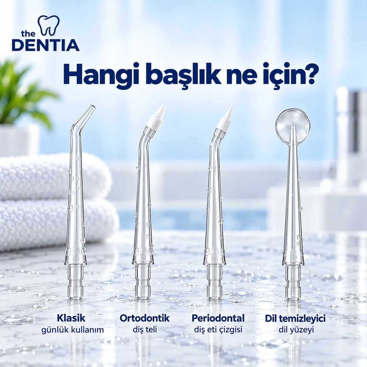 TD-07-hangi-baslik-ne-icin.webp
