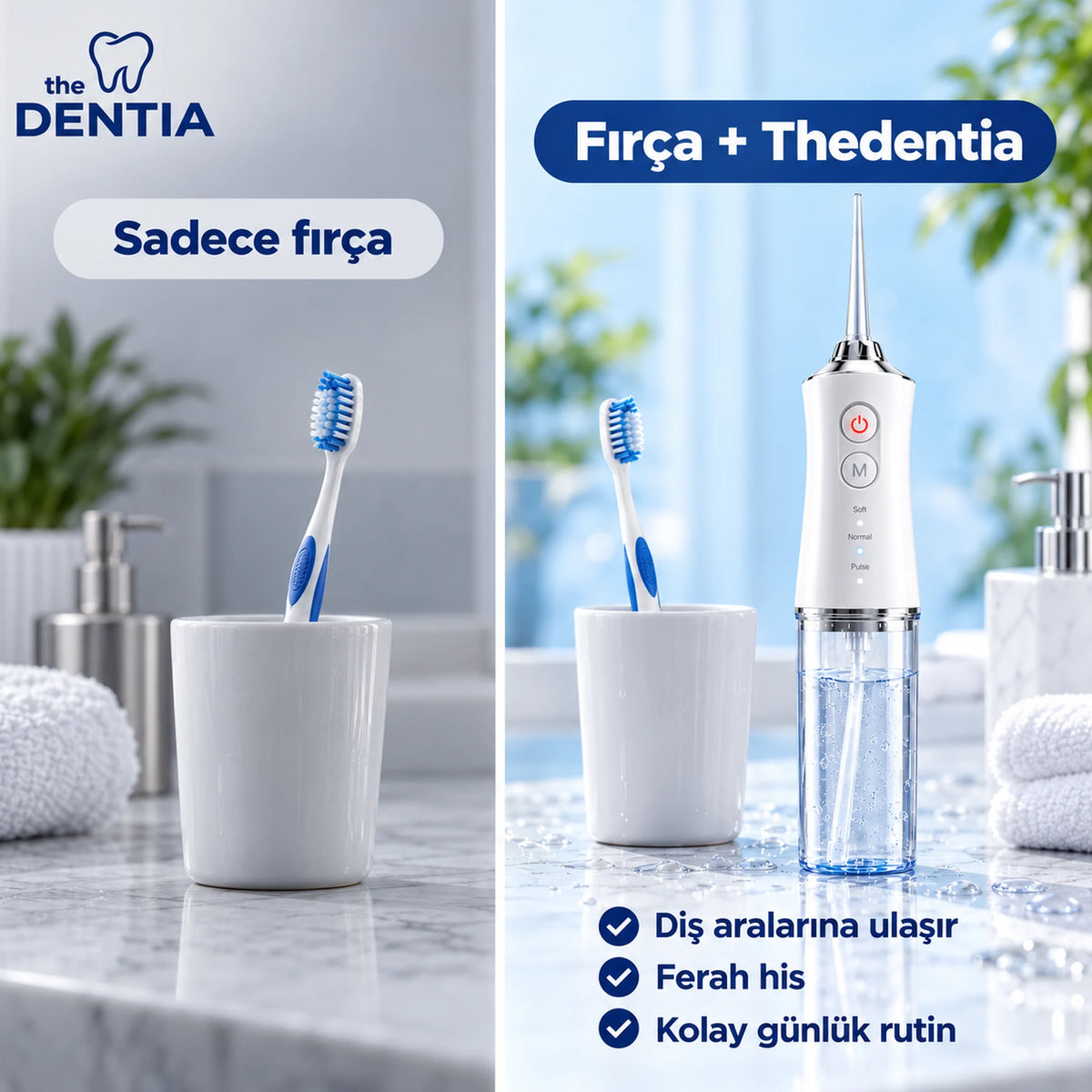 TD-23-firca-ve-thedentia.webp